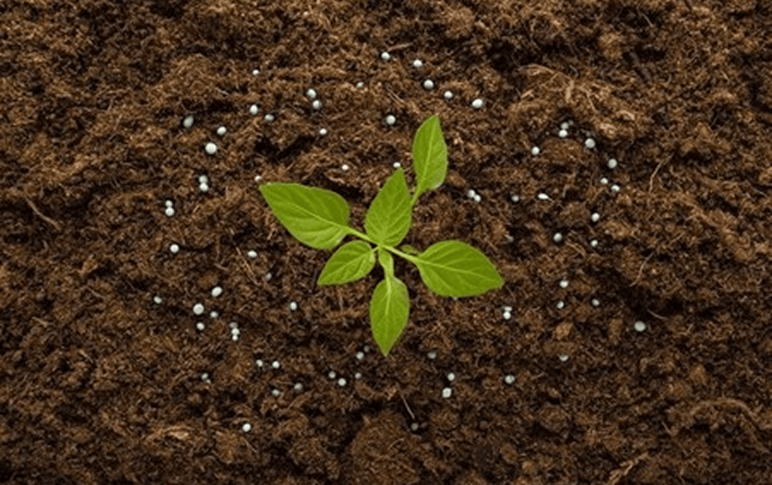 Design development and demonstration of struvite recovery by electro coagulation from urine streams for fertilizer applications.