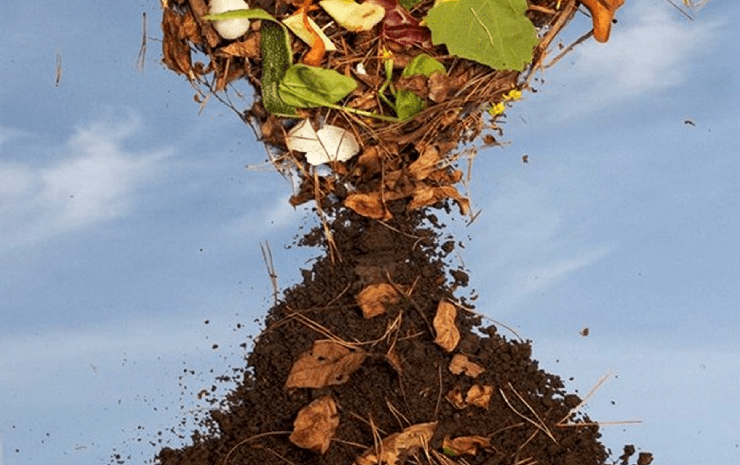 Drop-in compostable kitchen trash bags from waste tea fungus cellulose and other agro-waste materials.