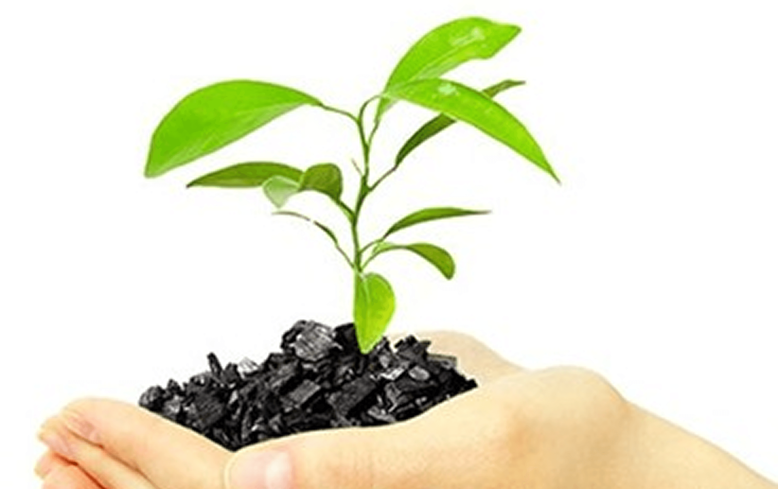 Design, Development & Demonstration of Biochar production strategies for Sustainable Agricultural Livelihoods.